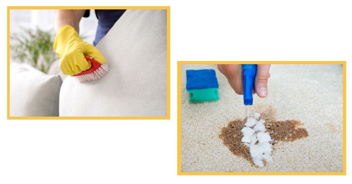 cleaning fabrics and surfaces from pet hair and stains