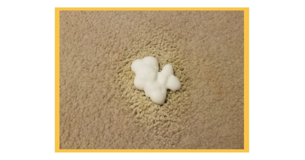 cleaning pet stains from carpets