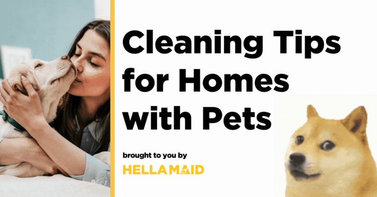 House cleaning tips for homes with pets