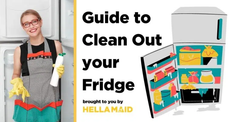 fridge cleaning guide