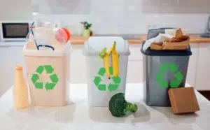 Segregate Recyclables