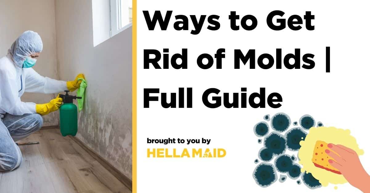 Effective Ways to Get Rid of Molds