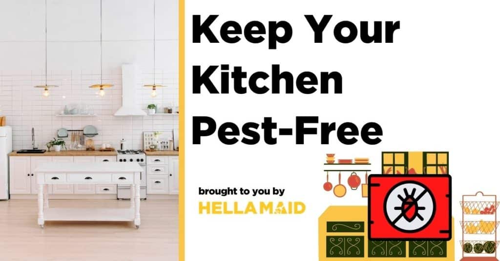 Keep your kitchen pest-free