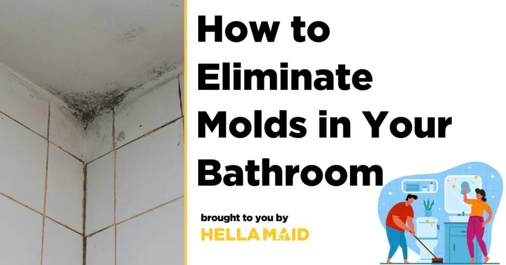 How to Eliminate Molds in Your Bathroom
