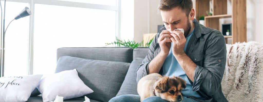 How to have an allergy free home