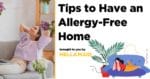 Allergy- free home