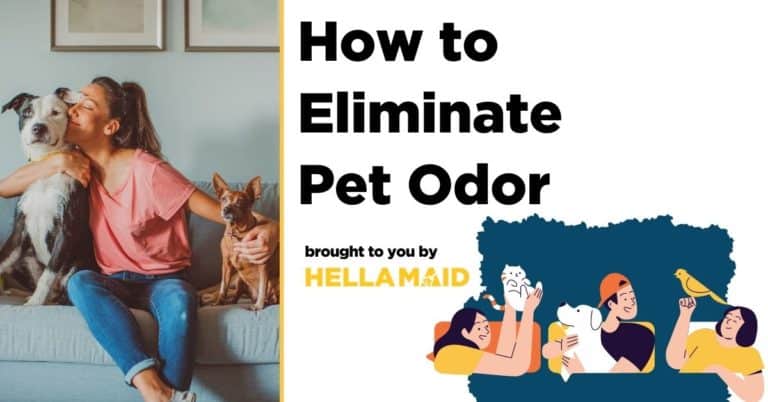 How to eliminate pet odors