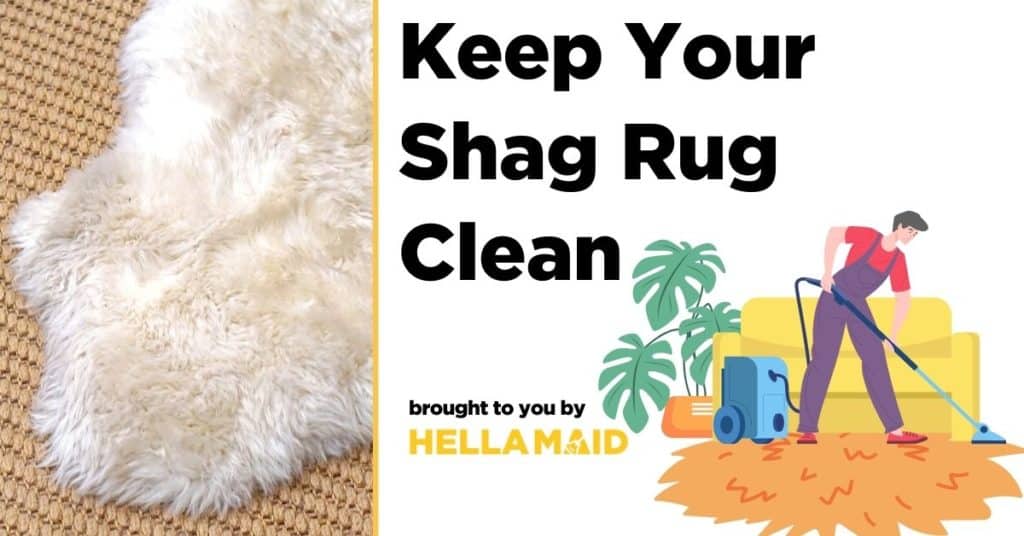 keep your shag rug clean