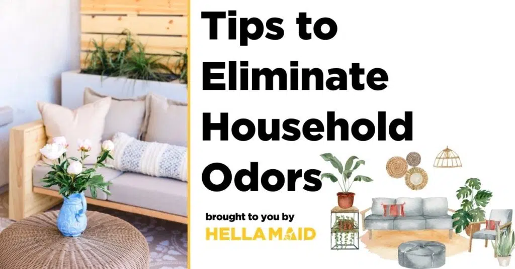 Tips to eliminate Household odors