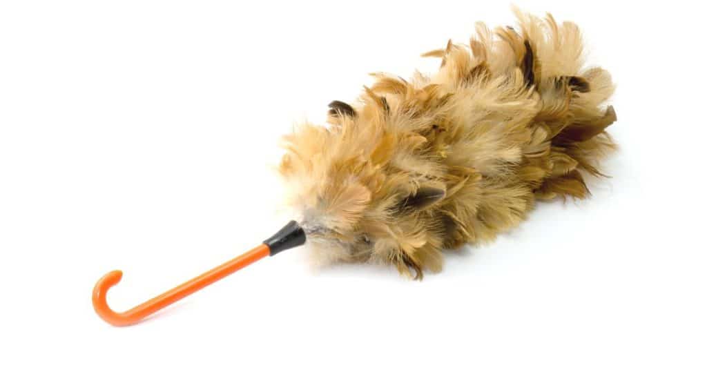 How to clean feather duster