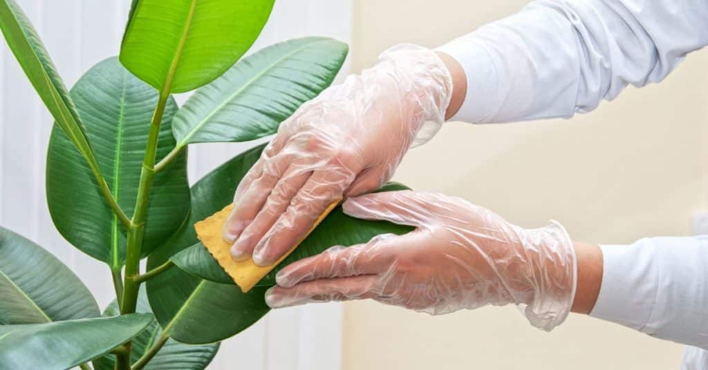 Cleaning artificial plants and flowers