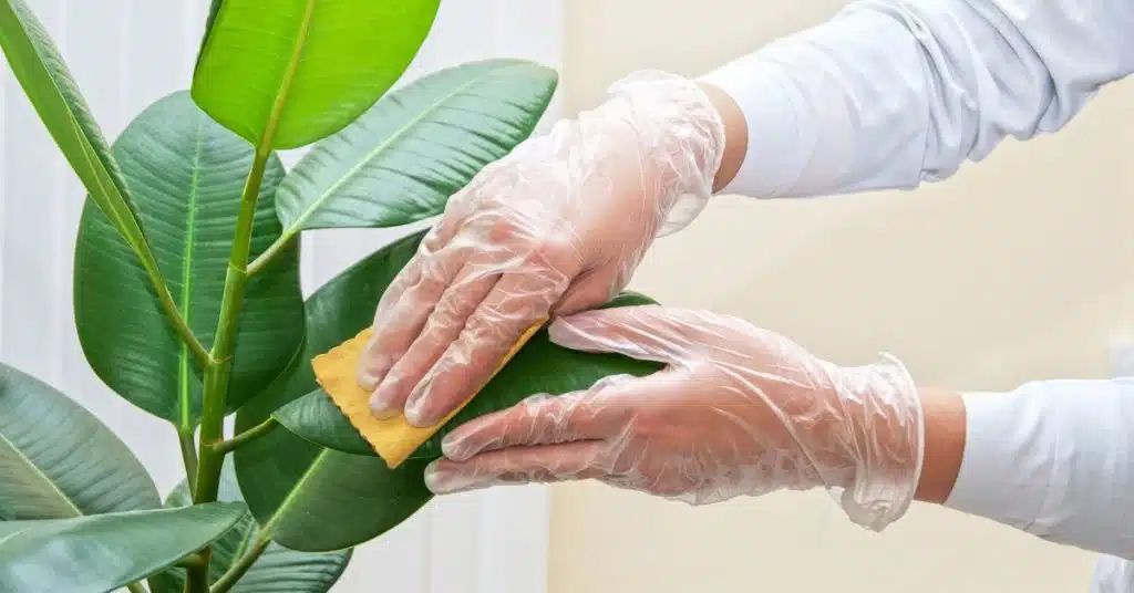 Cleaning artificial plants and flowers