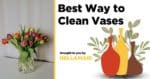 Best way to clean vases