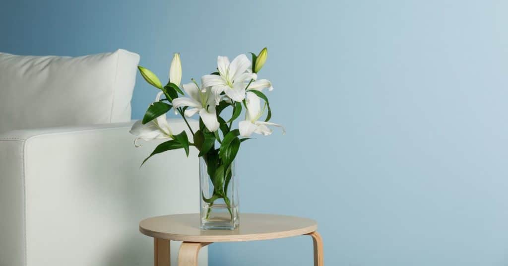 How to clean vases
