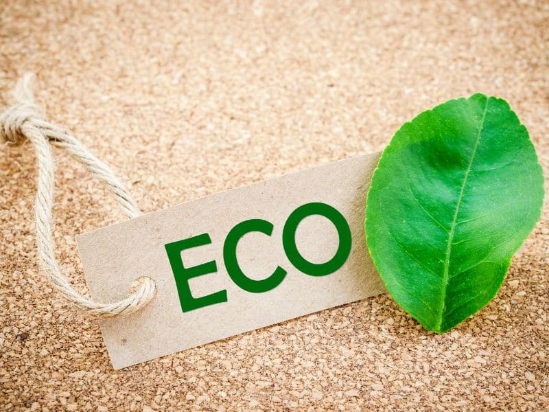 eco-labelling in cleaning industry