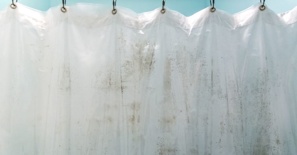 moldy shower curtain
