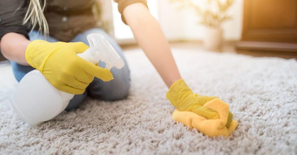 Natural ways to deodorize carpet