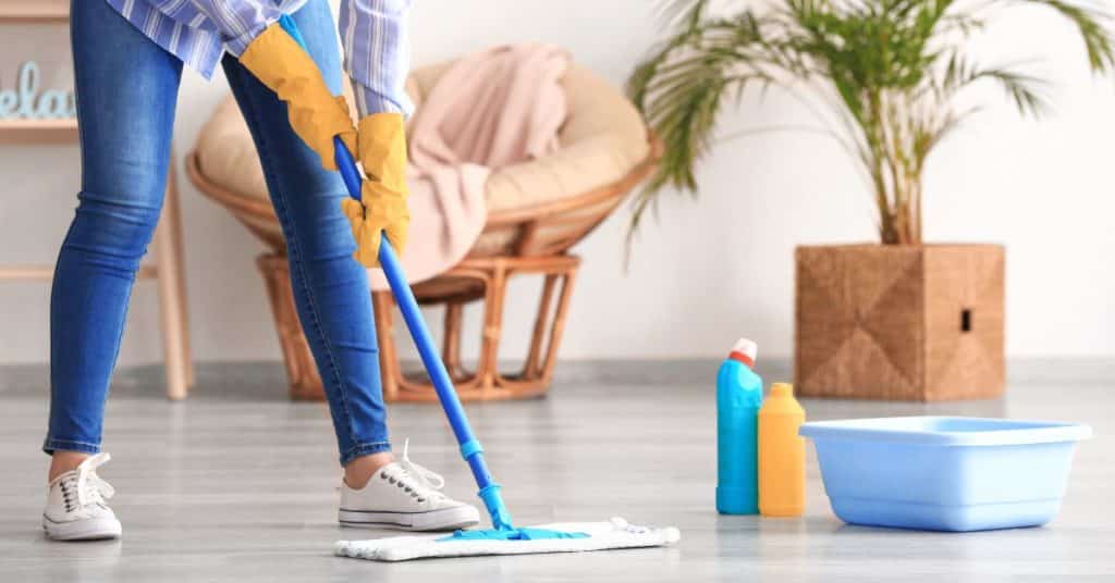 Vacuum and mop your floors regularly