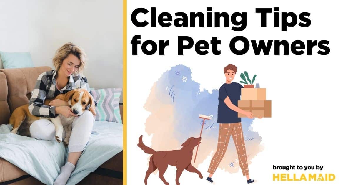 Cleaning Tips for pet owners