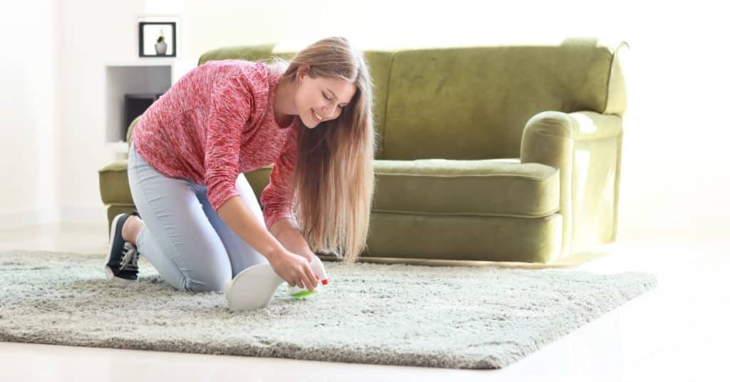 Spot Cleaning a Carpet