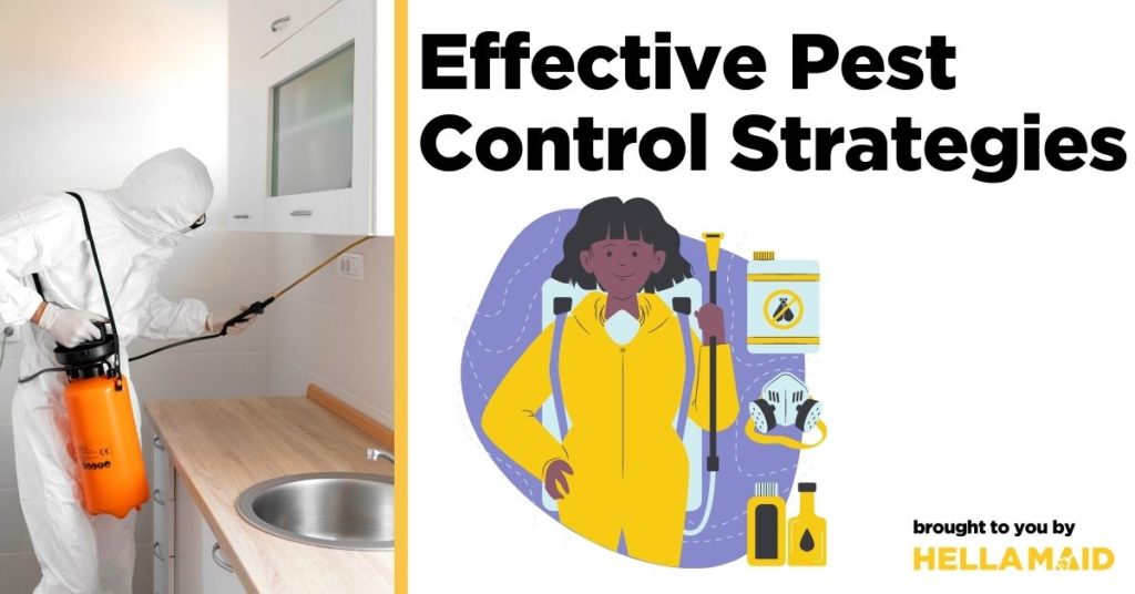 Effective pest control strategies