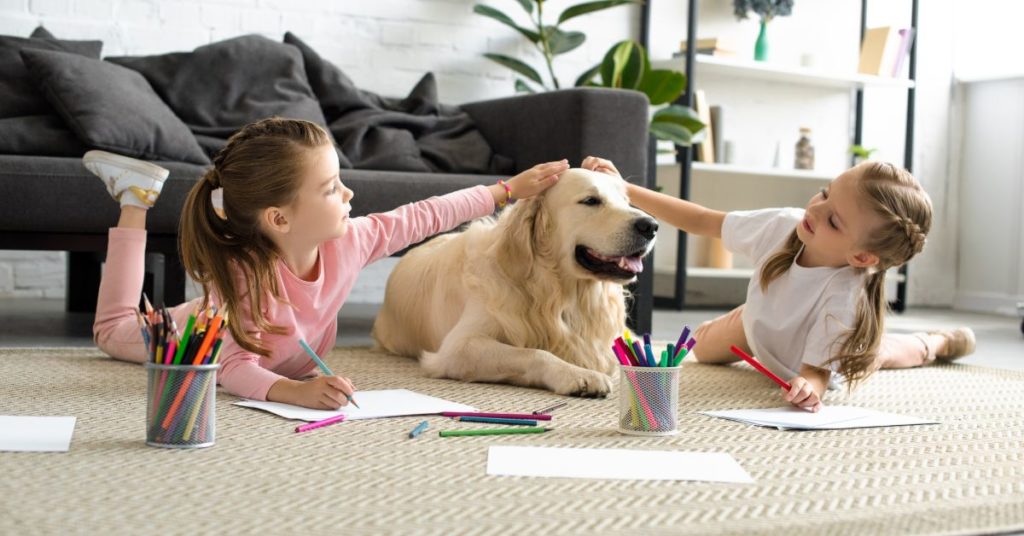 Pets and kids at home