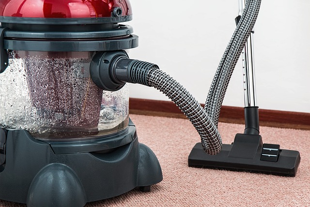 how to reduce dust in carpet