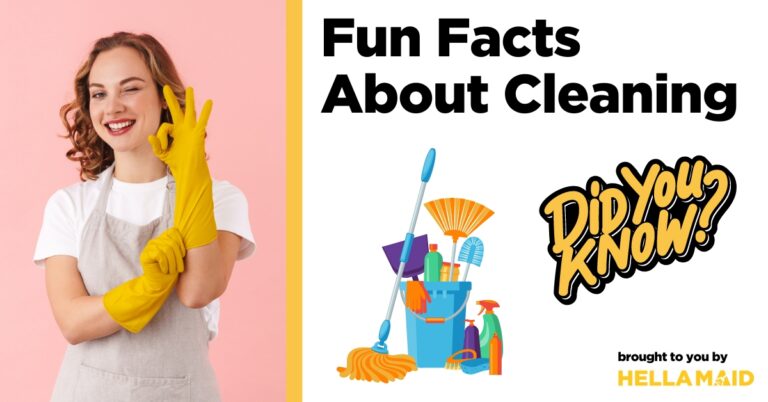 fun facts about cleaning