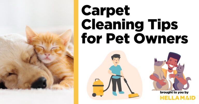 carpet cleaning tips for pet owners spotless