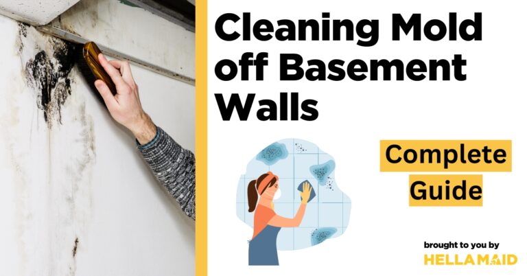 cleaning mold off basement walls
