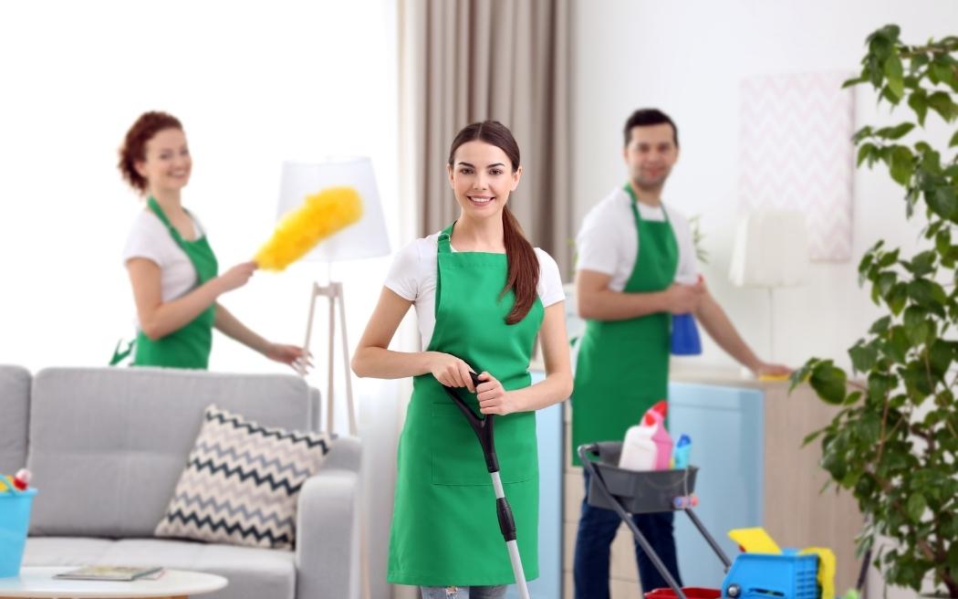 professional house cleaning service