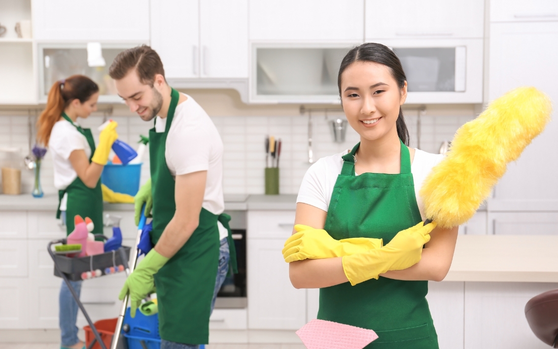 professional cleaners in ontario