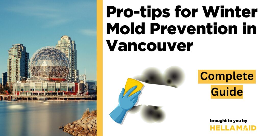tips for winter mold prevention