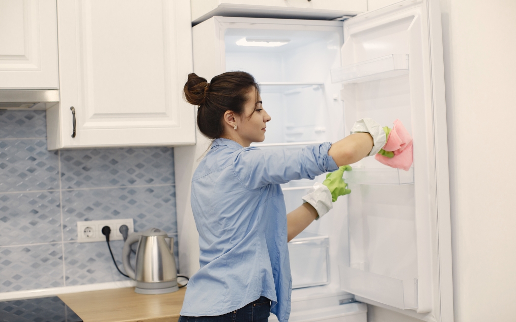 cleaning mold our from refrigerator