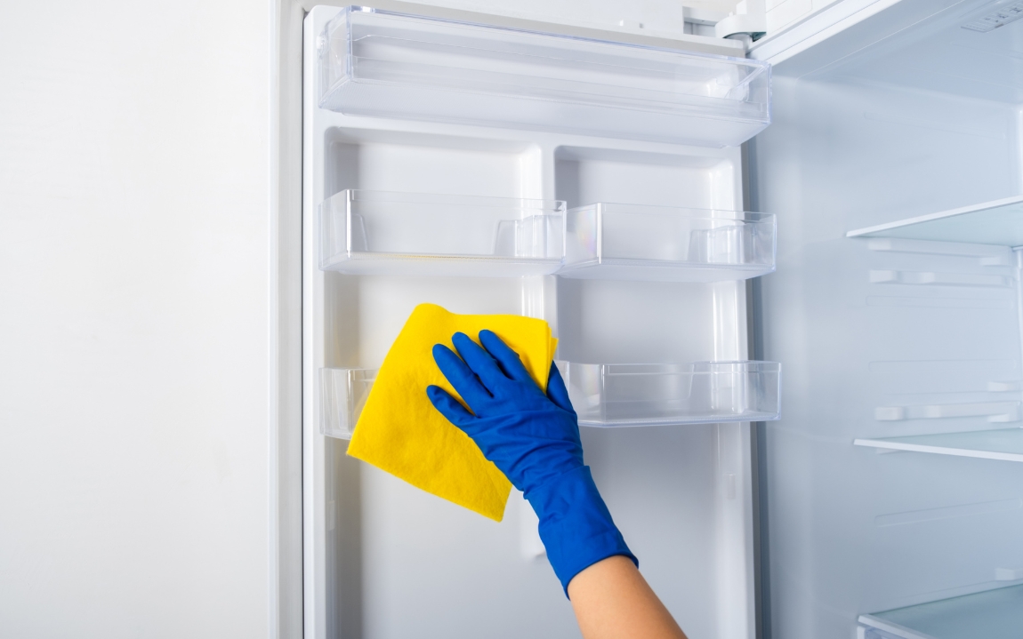 cleaning mold our from refrigerator