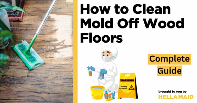 how to clean mold off wood floors