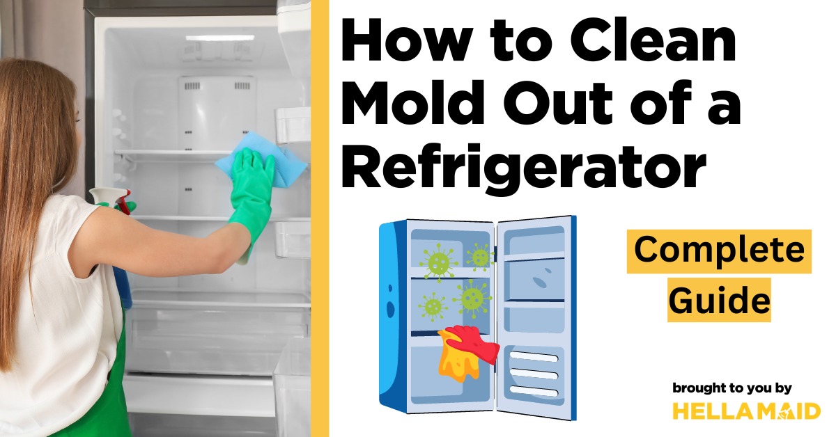how to clean mold out of refrigerator