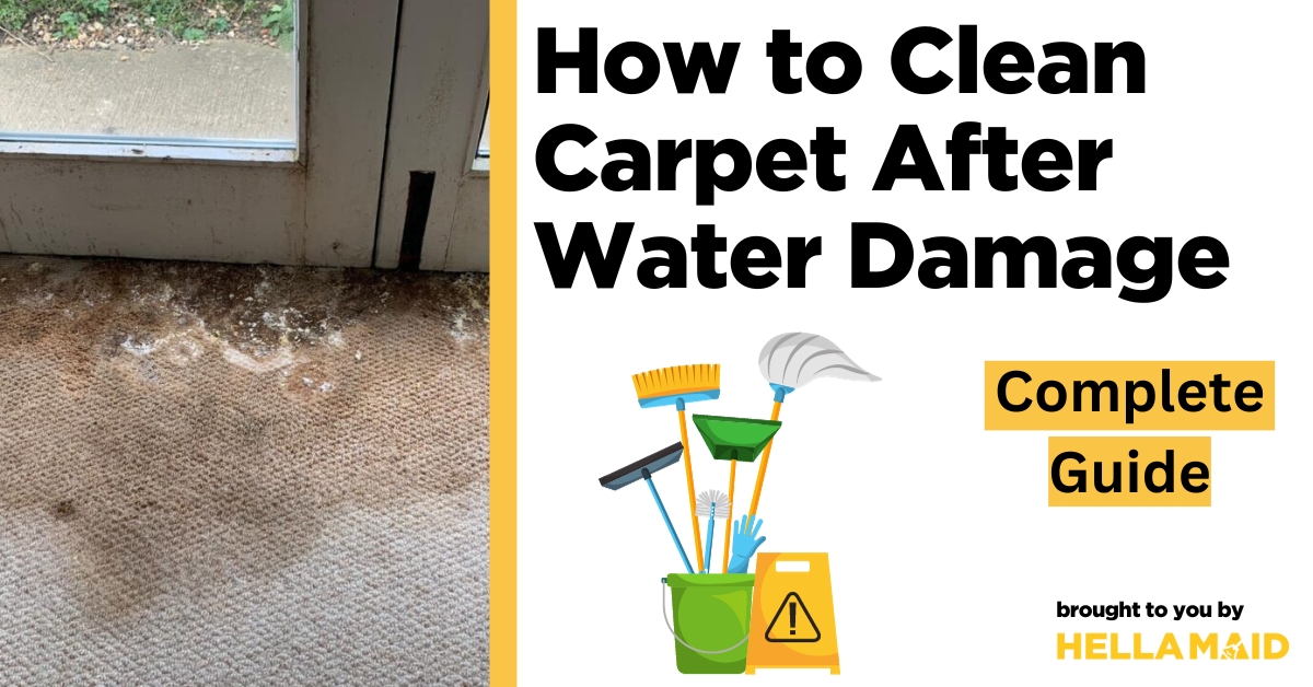 how to clean carpet after water damage