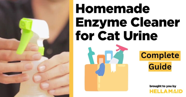 enzyme cleaner for cat urine