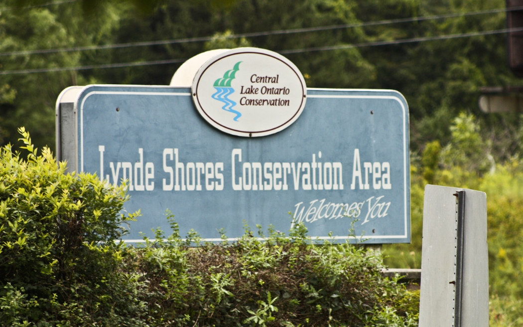 Lynde Shores Conservation