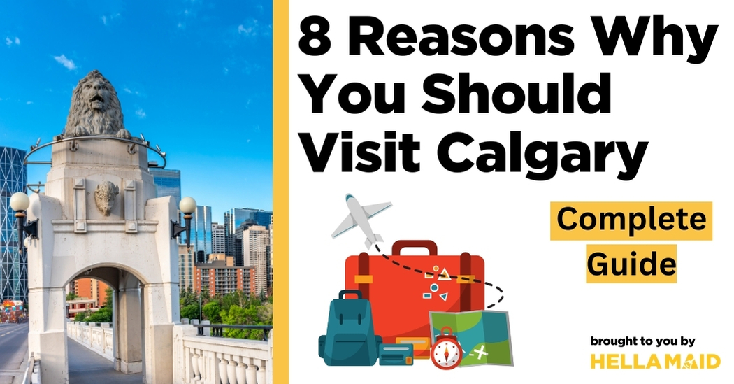 reasons why you should visit calgary