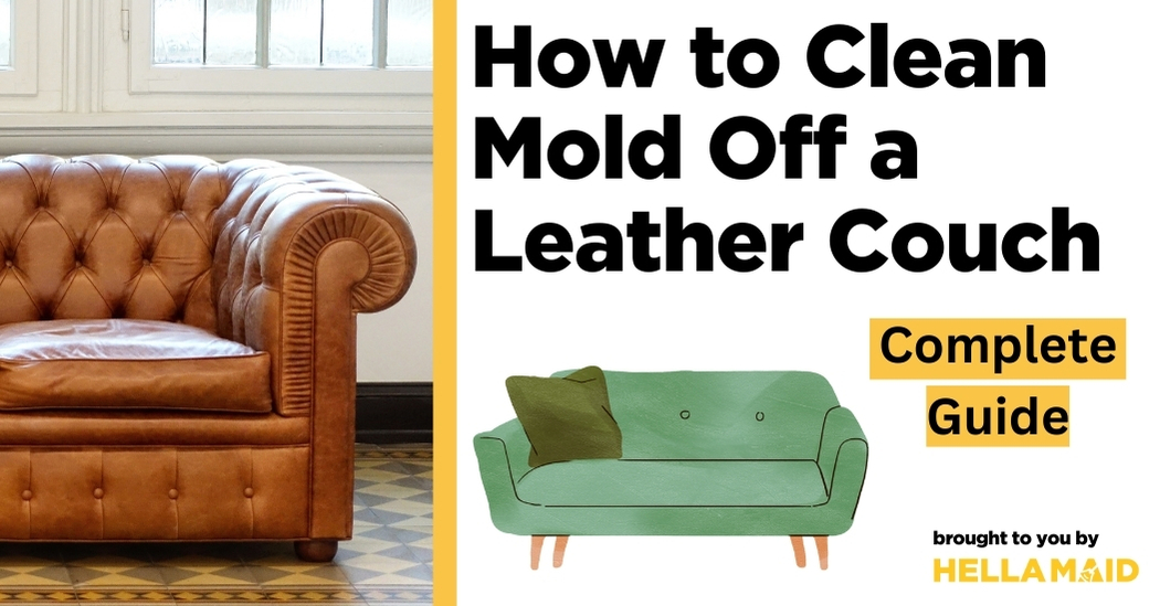 how to clean mold off leather couch