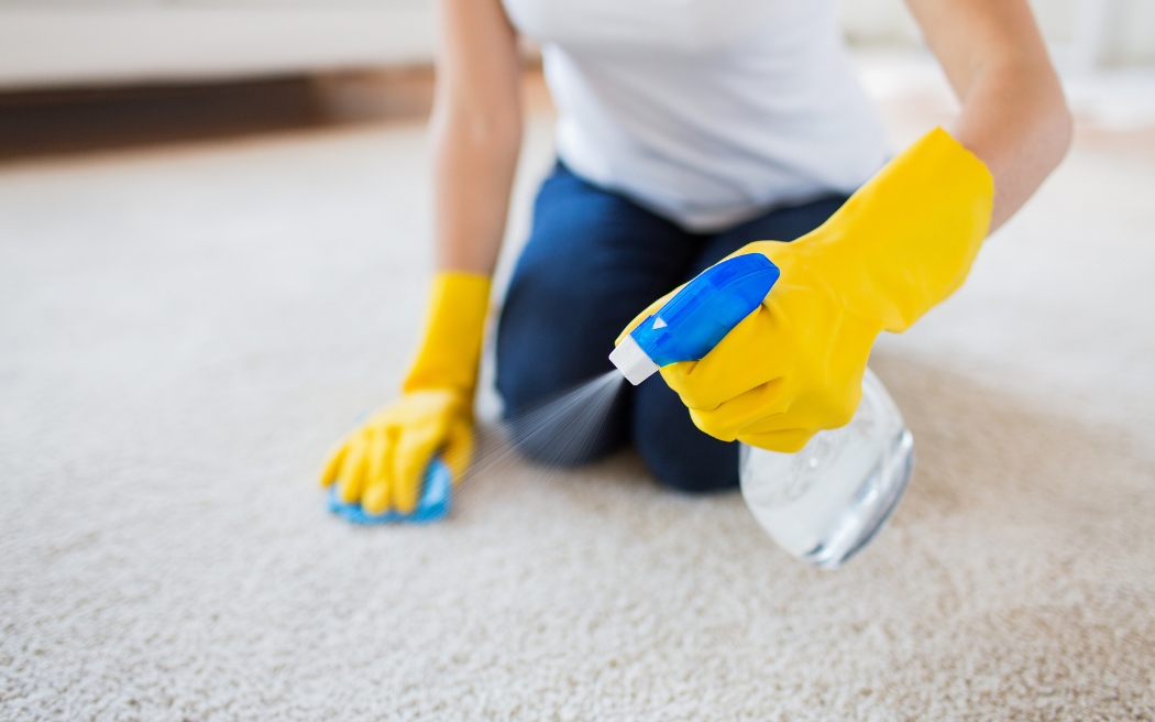 cleaning carpet with bleach
