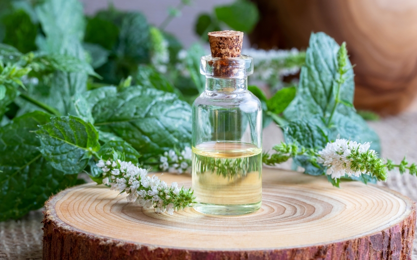 cleaning floors using peppermint oil