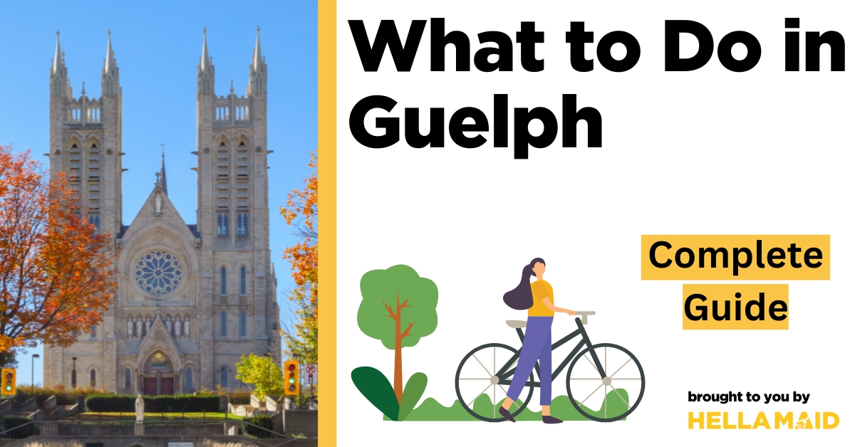 what to do in guelph