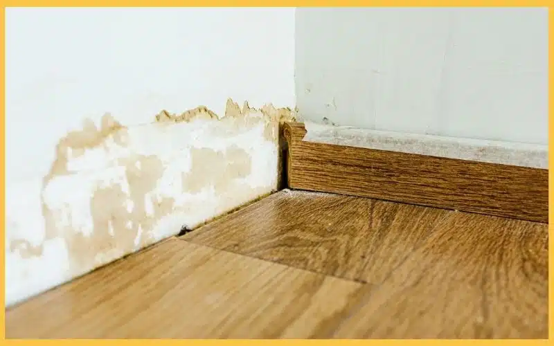 Water damage is visible on the wall near the floor, with peeling paint and a wooden baseboard in a room with laminate flooring.