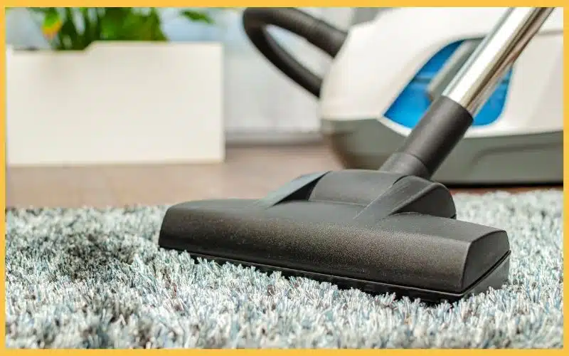 A vacuum cleaner head glides over a fluffy blue carpet, with a blurred background featuring a houseplant and a modern vacuum body.