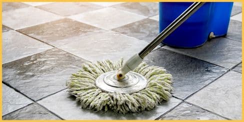 Mop and a bucket of mop on the floor.