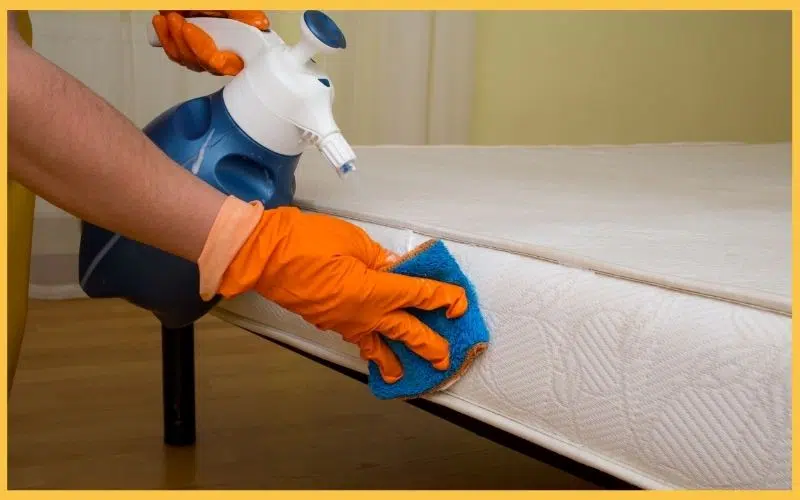 A person wearing orange gloves cleans a mattress with a blue spray cleaner and cloth, promoting effective household hygiene.