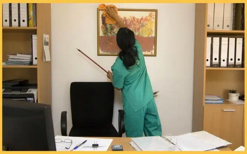A professional cleaner cleaning an office's painting.